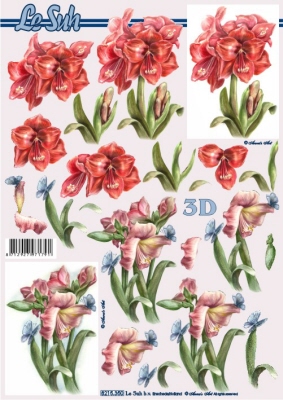 knipvellen/le suh/l_8215350.jpg